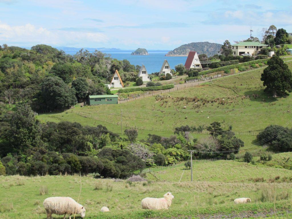 Pohutukawa Coastal Chalets Coromandel Buitenkant foto